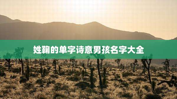 姓鞠的单字诗意男孩名字大全