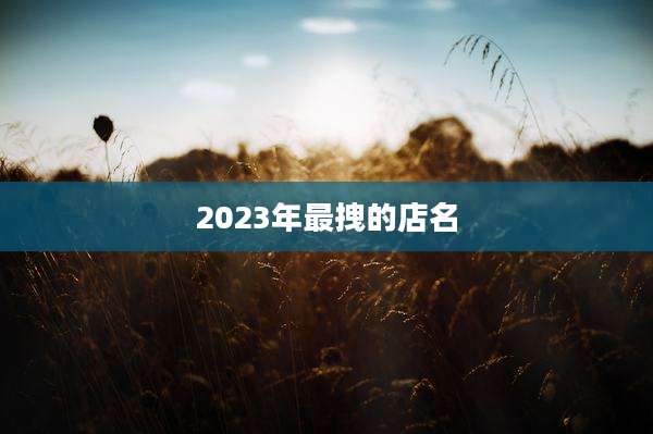 2023年最拽的店名