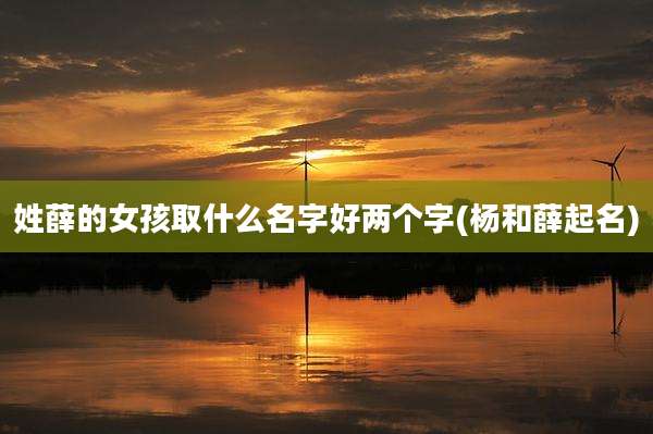 姓薛的女孩取什么名字好两个字(杨和薛起名)