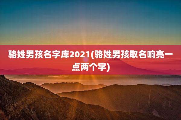 骆姓男孩名字库2021(骆姓男孩取名响亮一点两个字)