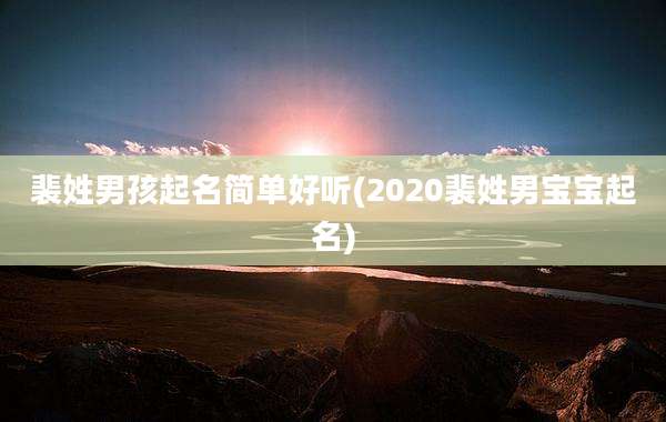 裴姓男孩起名简单好听(2020裴姓男宝宝起名)