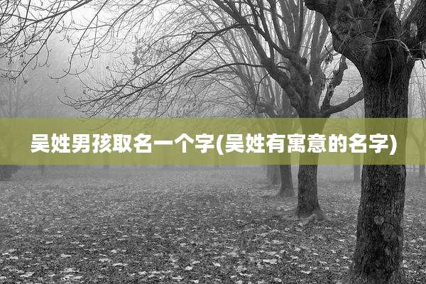 吴姓男孩取名一个字(吴姓有寓意的名字)