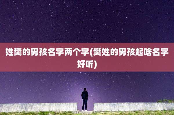 姓樊的男孩名字两个字(樊姓的男孩起啥名字好听)