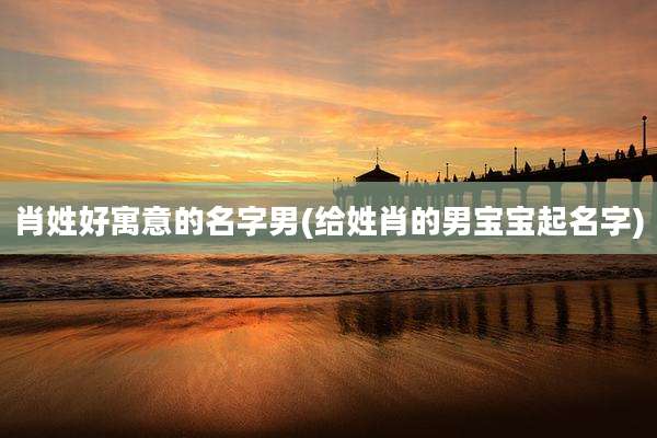 肖姓好寓意的名字男(给姓肖的男宝宝起名字)