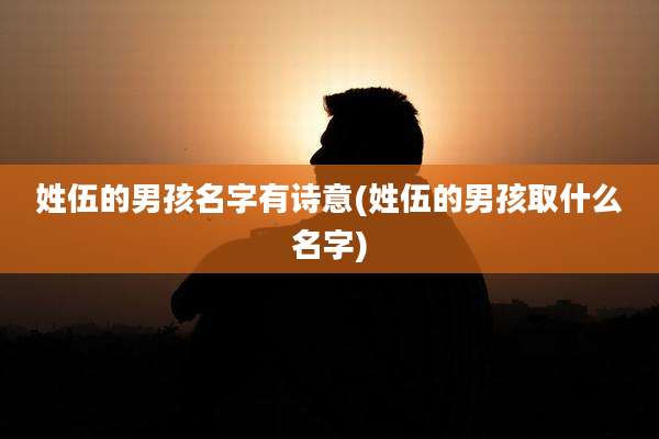 姓伍的男孩名字有诗意(姓伍的男孩取什么名字)