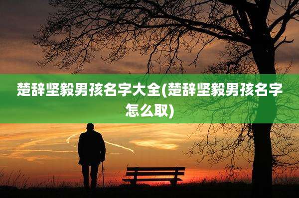 楚辞坚毅男孩名字大全(楚辞坚毅男孩名字怎么取)