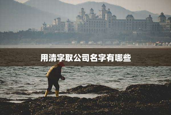 用清字取公司名字有哪些