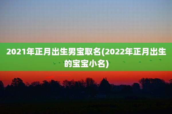 2021年正月出生男宝取名(2022年正月出生的宝宝小名)