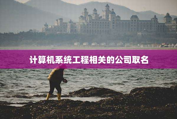 计算机系统工程相关的公司取名