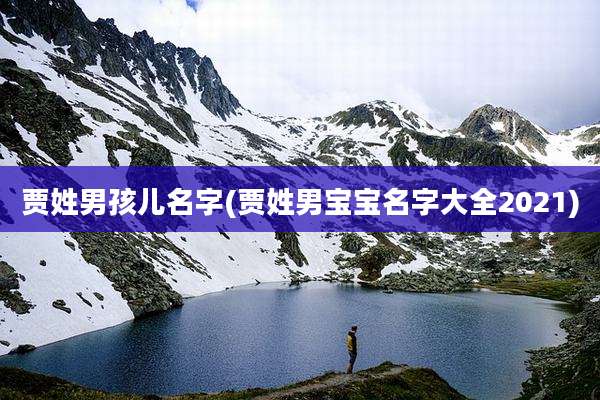 贾姓男孩儿名字(贾姓男宝宝名字大全2021)