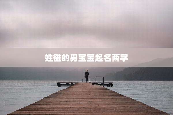 姓雒的男宝宝起名两字