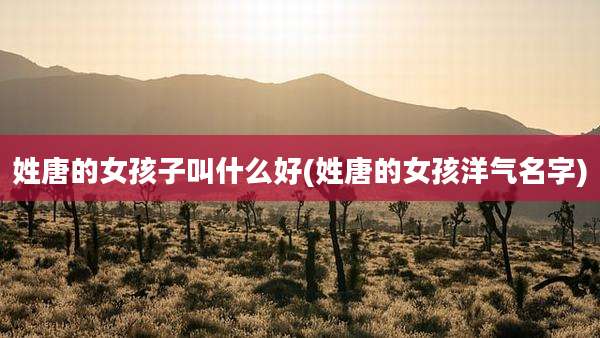 姓唐的女孩子叫什么好(姓唐的女孩洋气名字)