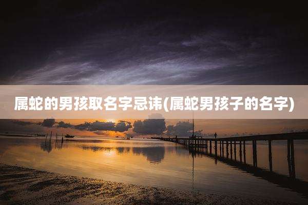 属蛇的男孩取名字忌讳(属蛇男孩子的名字)