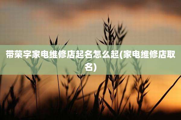 带荣字家电维修店起名怎么起(家电维修店取名)