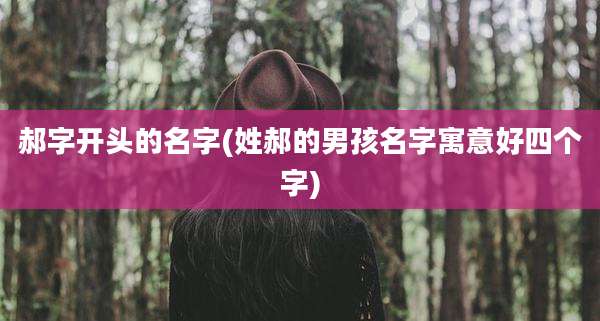 郝字开头的名字(姓郝的男孩名字寓意好四个字)