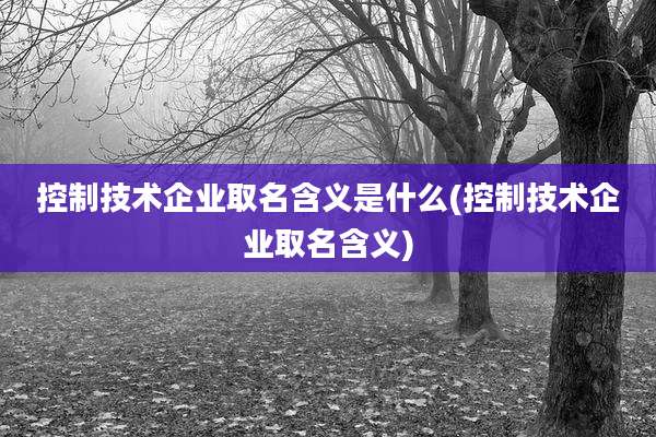 控制技术企业取名含义是什么(控制技术企业取名含义)