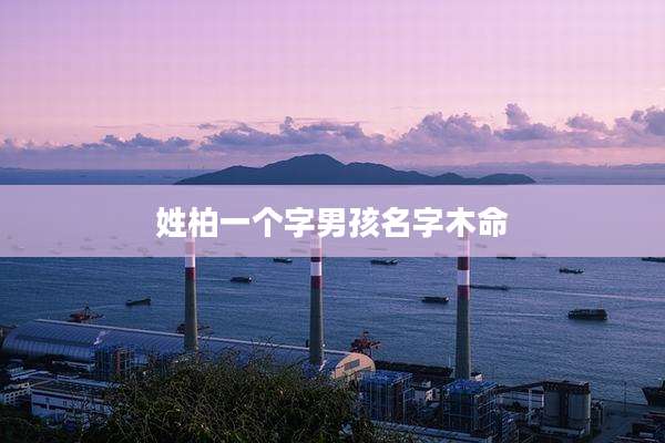 姓柏一个字男孩名字木命