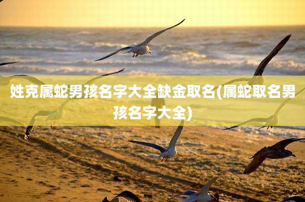 姓克属蛇男孩名字大全缺金取名(属蛇取名男孩名字大全)