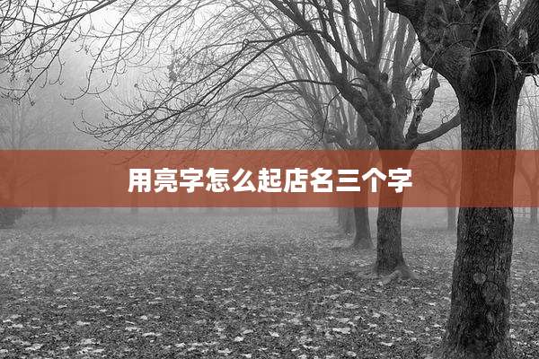 用亮字怎么起店名三个字