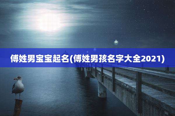 傅姓男宝宝起名(傅姓男孩名字大全2021)
