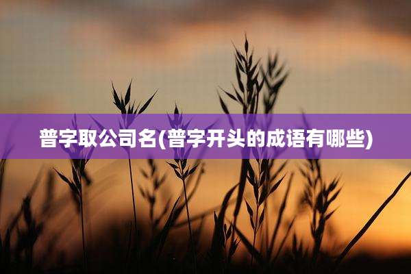 普字取公司名(普字开头的成语有哪些)