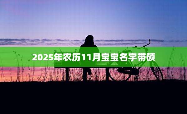 2025年农历11月宝宝名字带硕