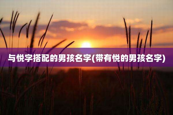 与悦字搭配的男孩名字(带有悦的男孩名字)
