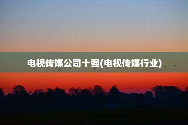 电视传媒公司十强(电视传媒行业)