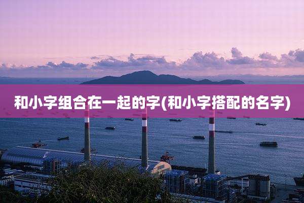 和小字组合在一起的字(和小字搭配的名字)