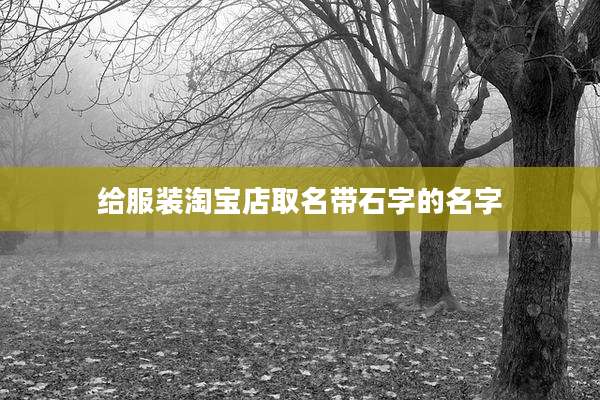 给服装淘宝店取名带石字的名字