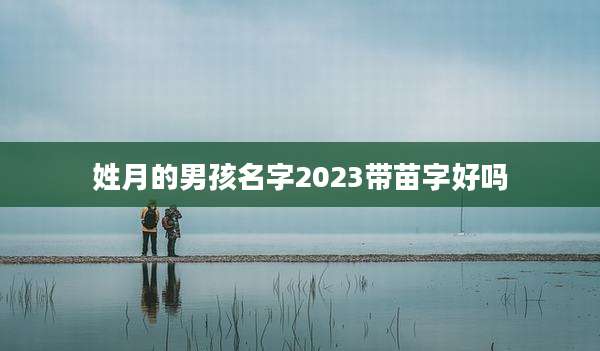 姓月的男孩名字2023带苗字好吗