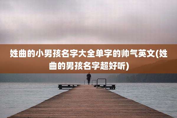 姓曲的小男孩名字大全单字的帅气英文(姓曲的男孩名字超好听)