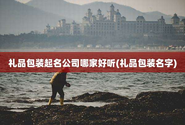 礼品包装起名公司哪家好听(礼品包装名字)