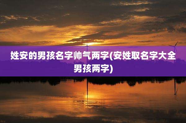 姓安的男孩名字帅气两字(安姓取名字大全男孩两字)