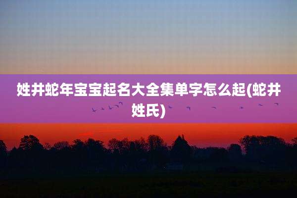 姓井蛇年宝宝起名大全集单字怎么起(蛇井姓氏)