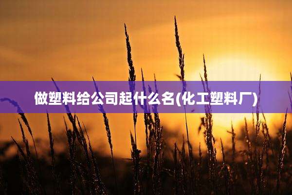 做塑料给公司起什么名(化工塑料厂)