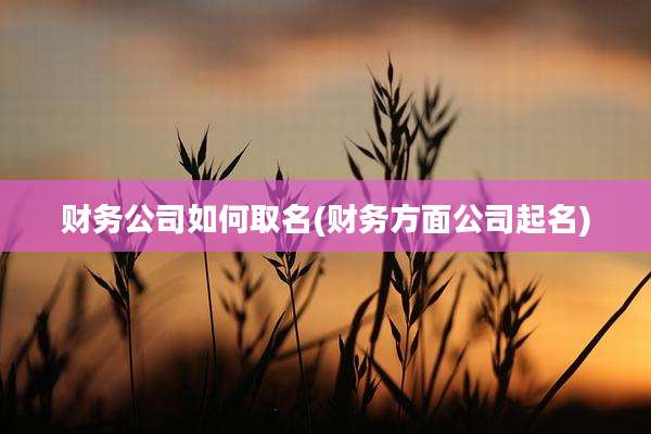 财务公司如何取名(财务方面公司起名)