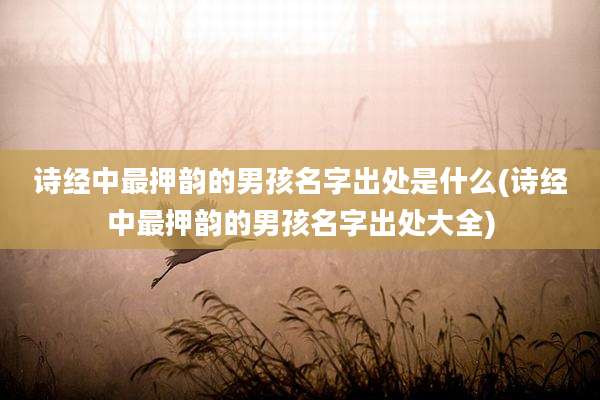 诗经中最押韵的男孩名字出处是什么(诗经中最押韵的男孩名字出处大全)