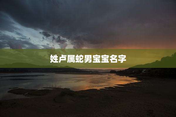 姓卢属蛇男宝宝名字