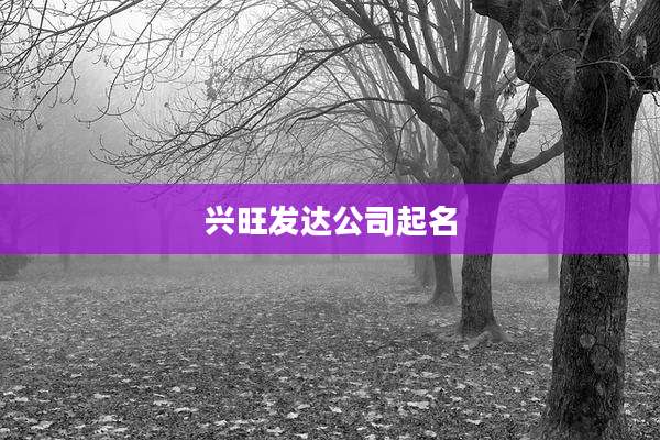 兴旺发达公司起名