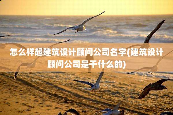 怎么样起建筑设计顾问公司名字(建筑设计顾问公司是干什么的)
