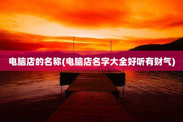 电脑店的名称(电脑店名字大全好听有财气)