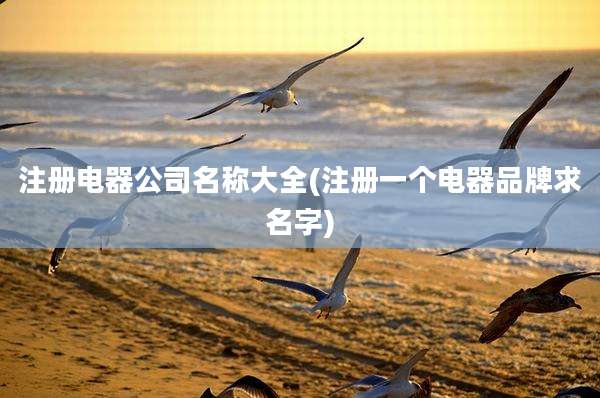注册电器公司名称大全(注册一个电器品牌求名字)
