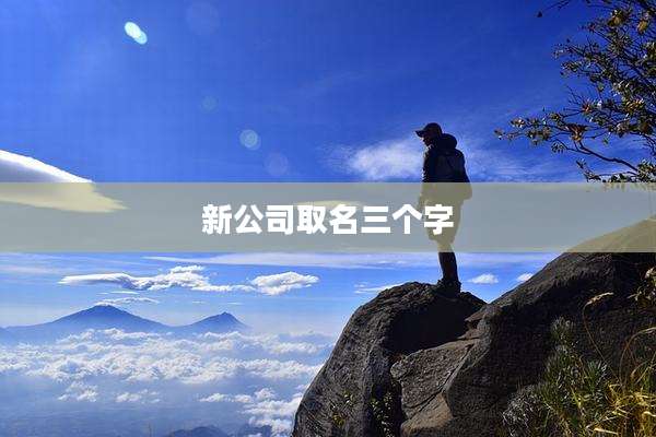 新公司取名三个字