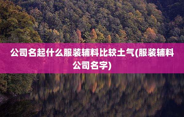 公司名起什么服装辅料比较土气(服装辅料公司名字)