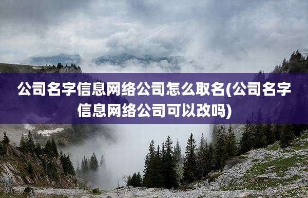 公司名字信息网络公司怎么取名(公司名字信息网络公司可以改吗)