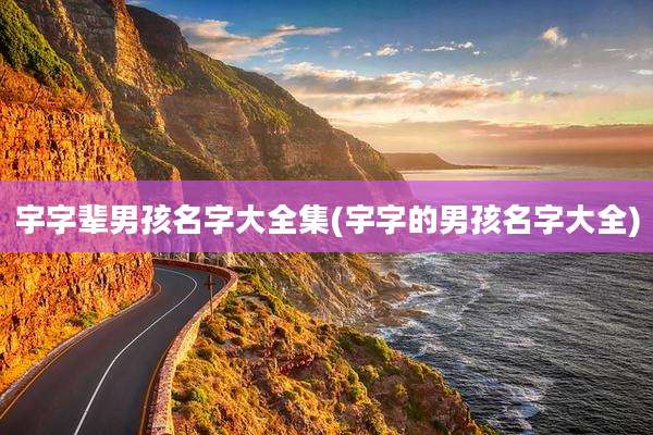 宇字辈男孩名字大全集(宇字的男孩名字大全)