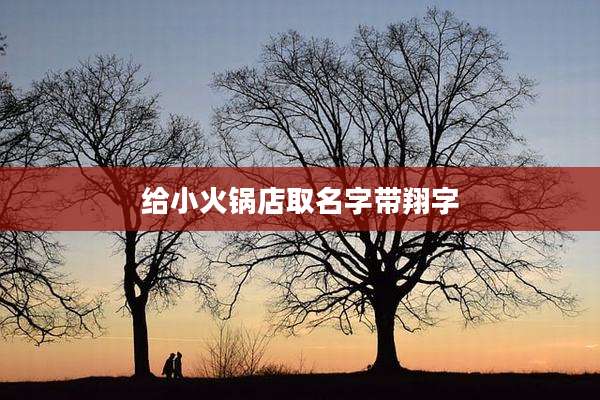 给小火锅店取名字带翔字