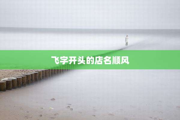 飞字开头的店名顺风