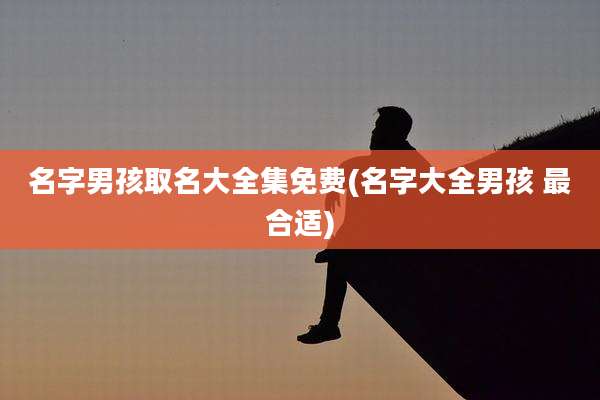 名字男孩取名大全集免费(名字大全男孩 最合适)